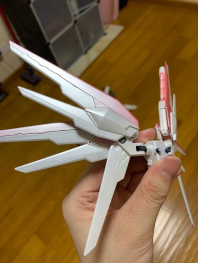 HGCE 机动战士高达SEED ZGMF-X10A 自由高达 新生版