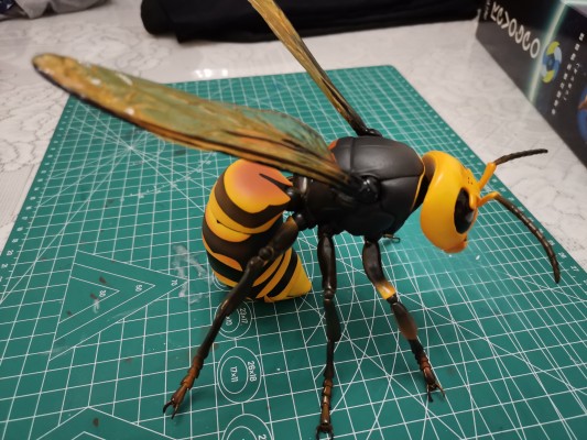 REVOGEO 日本大黄蜂