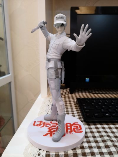 工作细胞 U-1146 白细胞