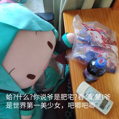 超大软绵绵玩偶 初音未来