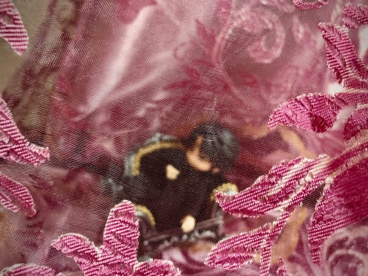 粘土人#1186 猎人×猎人 库洛洛·鲁西鲁