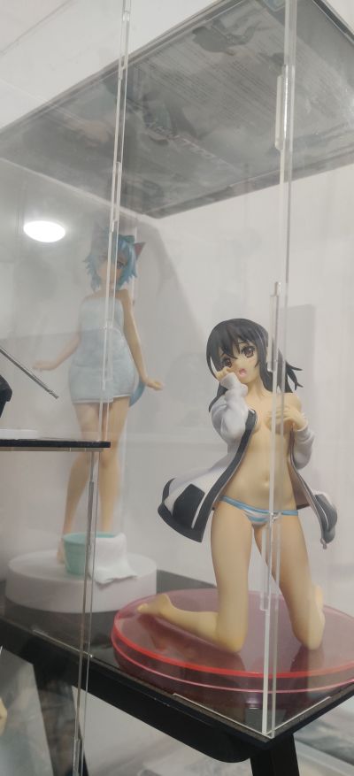 噬血狂袭 姬柊雪菜