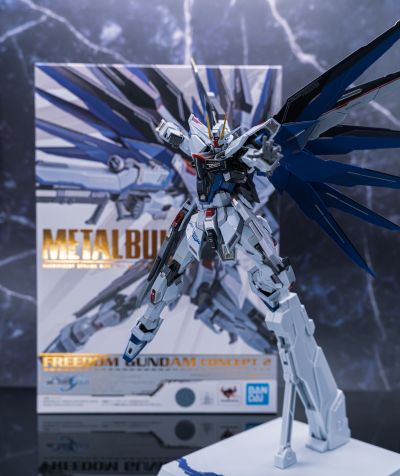 METAL BUILD  自由高达 概念2