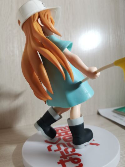 工作细胞 血小板 