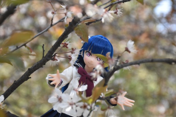 PureNeemo  Love Live! Sunshine!! 津岛善子 