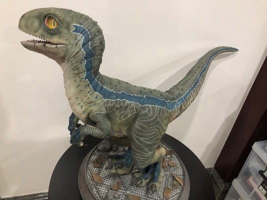 遗产博物馆Collection 侏罗纪世界2：失落王国 布鲁（幼龙版）