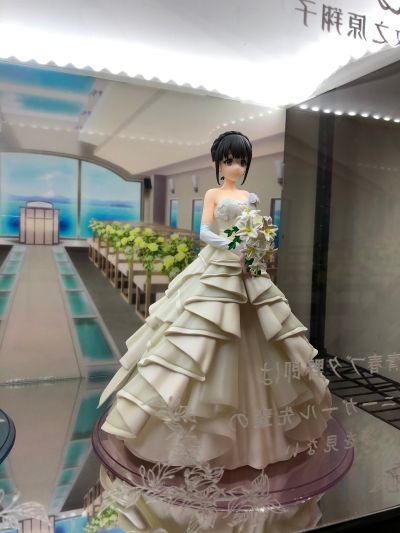 青春猪头少年不会梦到怀梦美少女  樱岛麻衣 婚纱