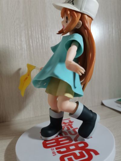 工作细胞 血小板 