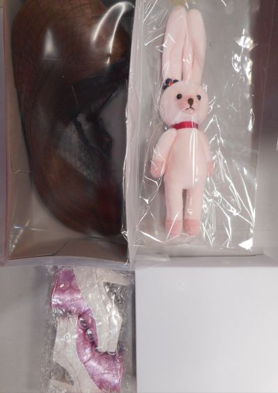 Dollfie Dream Pretty DDP 偶像大师 水瀬伊织和Charles Donatello XVIII