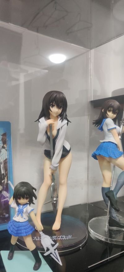 噬血狂袭 姬柊雪菜