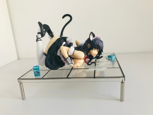 CAT LAP MILK