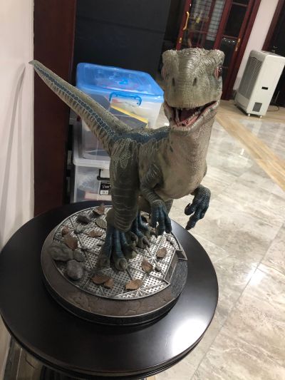 遗产博物馆Collection 侏罗纪世界2：失落王国 布鲁（幼龙版）