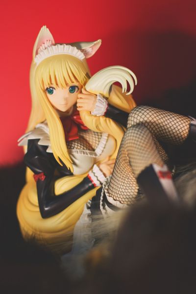 王女殿下的料理番 萝娜