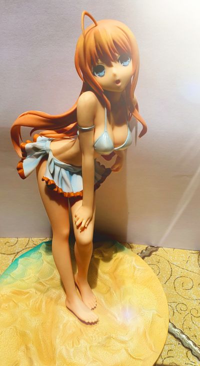 迷茫管家与懦弱的我 近卫昴 泳装版