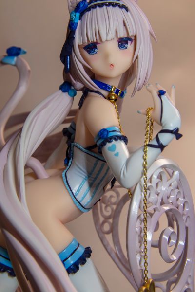 我家也有猫猫了