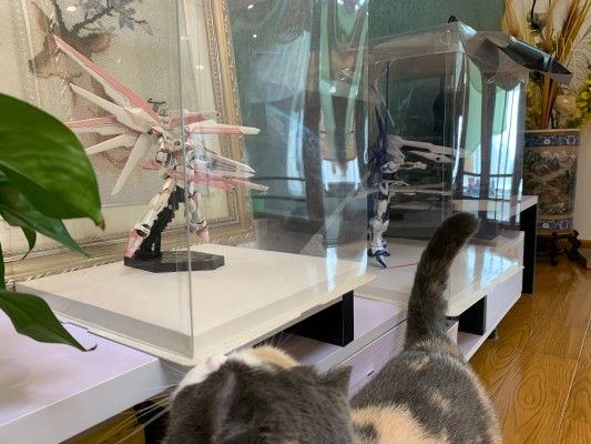 HGCE 1/144 机动战士高达SEED ZGMF-X10A 自由高达 新生版