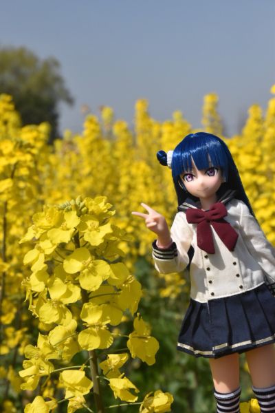 PureNeemo  Love Live! Sunshine!! 津岛善子 