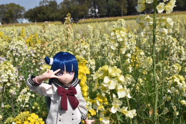 PureNeemo  Love Live! Sunshine!! 津岛善子 