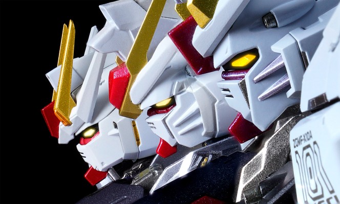 METAL BUILD  自由高达 概念2