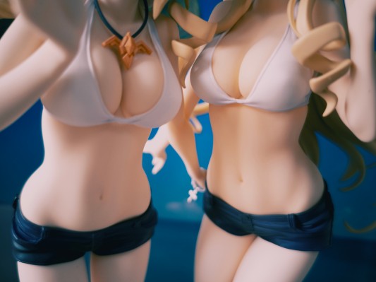 IS〈无限斯特拉托斯〉  夏洛特＆塞西莉娅 泳装