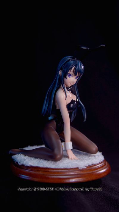 青春期笨蛋不做兔女郎学姐的梦 樱岛麻衣 