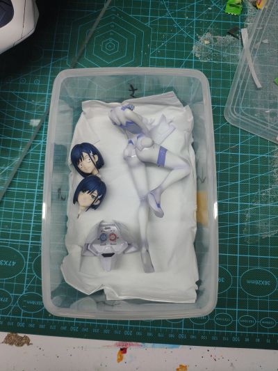 Darling in the FRANXX 零二＆莓