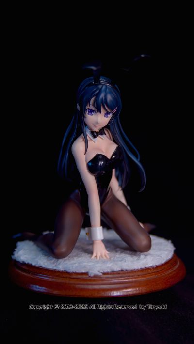 青春期笨蛋不做兔女郎学姐的梦 樱岛麻衣 兔女郎ver.