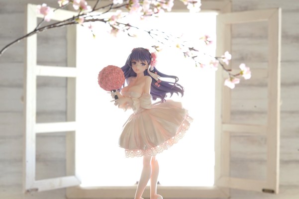 Fate/Stay Night 间桐樱 Dress ver.