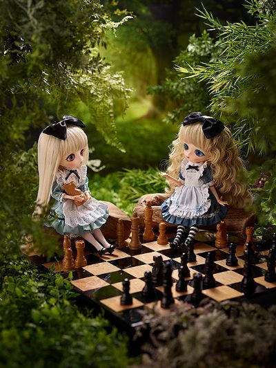 Harmonia bloom ALICE L