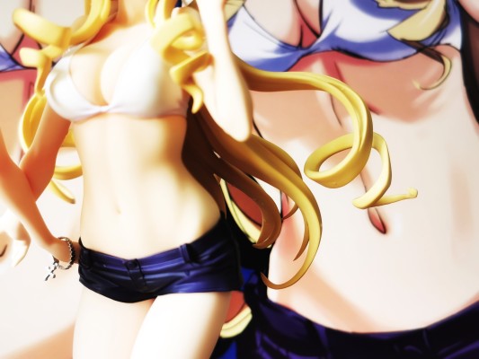 IS〈无限斯特拉托斯〉  夏洛特＆塞西莉娅 泳装