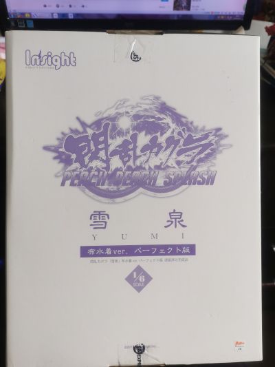 闪乱神乐：沙滩戏水 雪泉 泳装