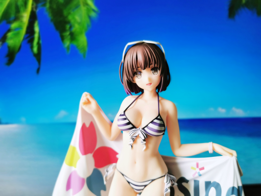 IS〈无限斯特拉托斯〉  夏洛特＆塞西莉娅 泳装