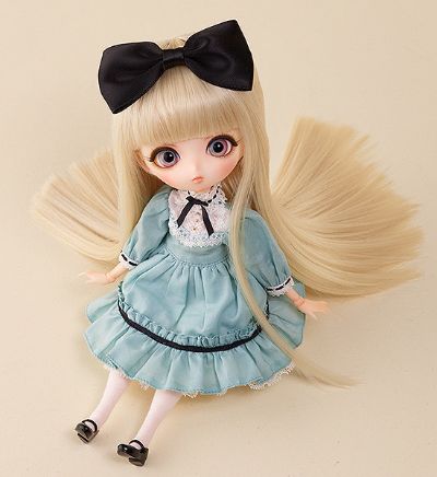 Harmonia bloom ALICE L