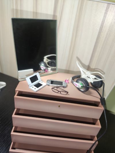 Gamer Girl（电玩女孩）