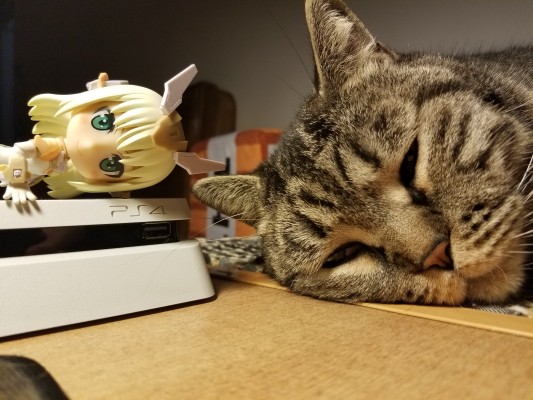 机甲少女 FRAME ARMS GIRL 闪燕猎刃