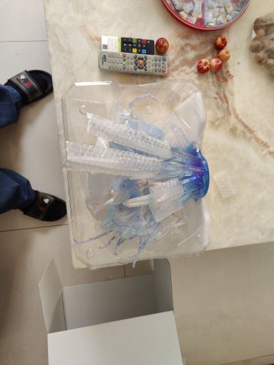 Re：从零开始的异世界生活 蕾姆 -水晶礼服 Ver-  等身