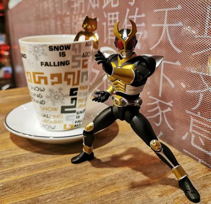 S.H.Figuarts（真骨雕制法） 假面骑士亚极陀 假面骑士亚极陀 大地形态