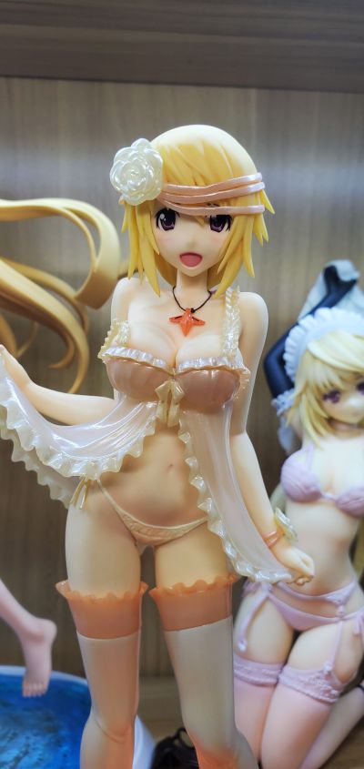 IS〈无限斯特拉托斯〉 夏洛特・迪诺亚 贵宾犬版