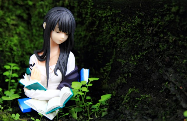 ビブリア古書堂の事件手帖 篠川栞子