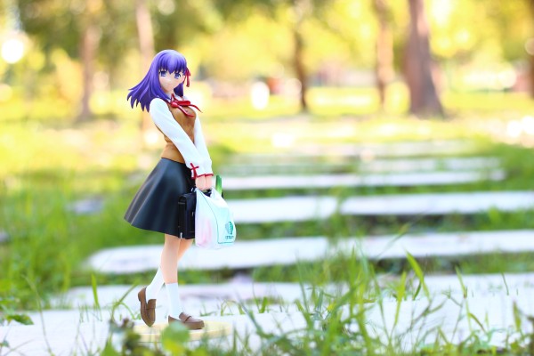 Fate/hollow ataraxia 间桐樱 夕支度Ver.