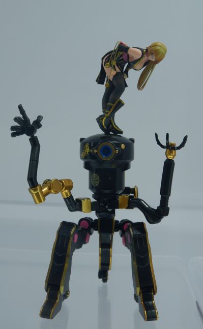 	Dead or Alive 霞 C2 Black ver. 