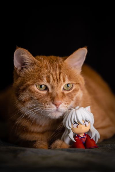 粘土人#1537 犬夜叉 桔梗