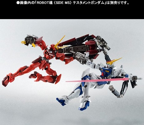 ROBOT魂 机动战士高达SEED DESTINY ASTRAY ZGMF-X12D异端高达非规格机D