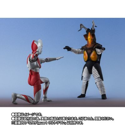 S.H.Figuarts  芝顿 一兆度火球版