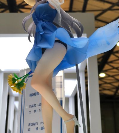 战舰少女R 列克星敦 向阳花海