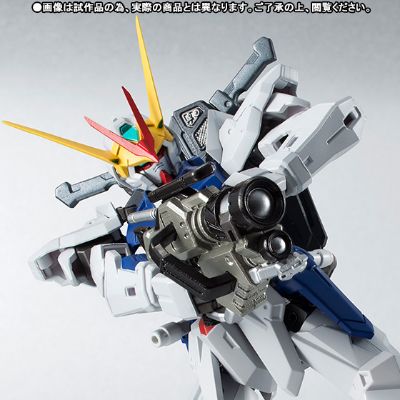 ROBOT魂 机动战士高达SEED DESTINY ASTRAY ZGMF-X12D异端高达非规格机D