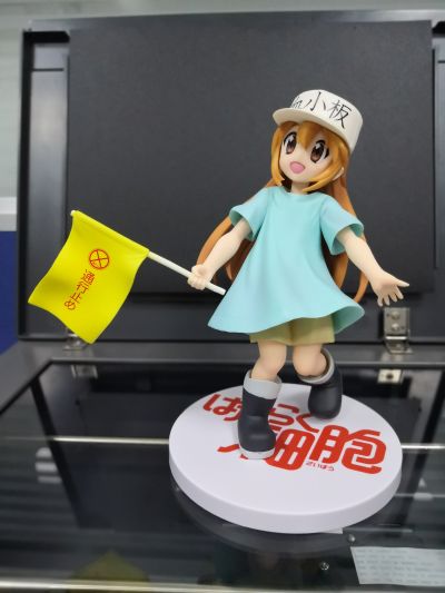 工作细胞 血小板 