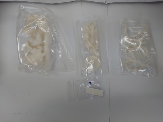 夏日口袋 探究岛上传承的少女 空门仓