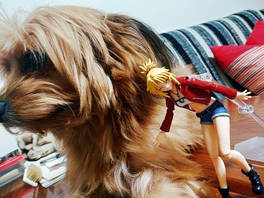 figma#474 Fate/Apocrypha 莫德雷德 私服ver.