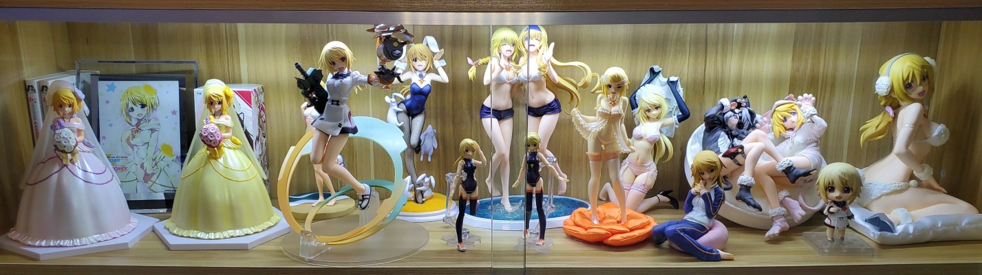 IS〈无限斯特拉托斯〉 夏洛特・迪诺亚 贵宾犬版